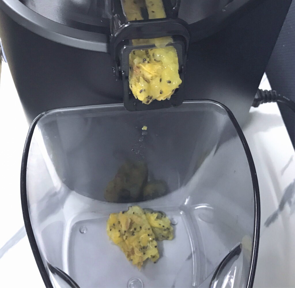 スロージューサーから出たフルーツの搾りかす02